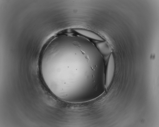 X0000090930532200708201830