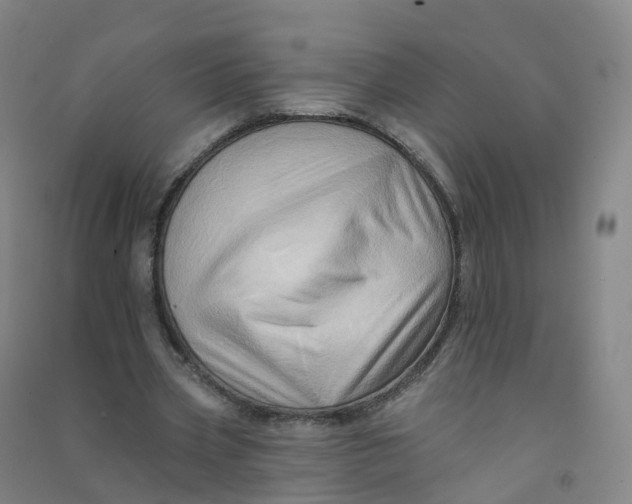 X0000090930533200708201830