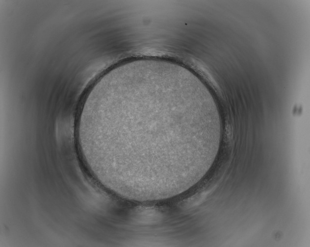 X0000090930534200708201830