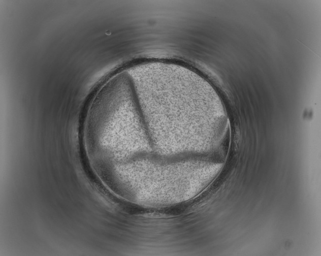 X0000090930535200708201830