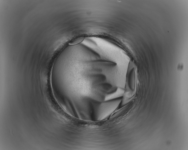 X0000090930539200708201830