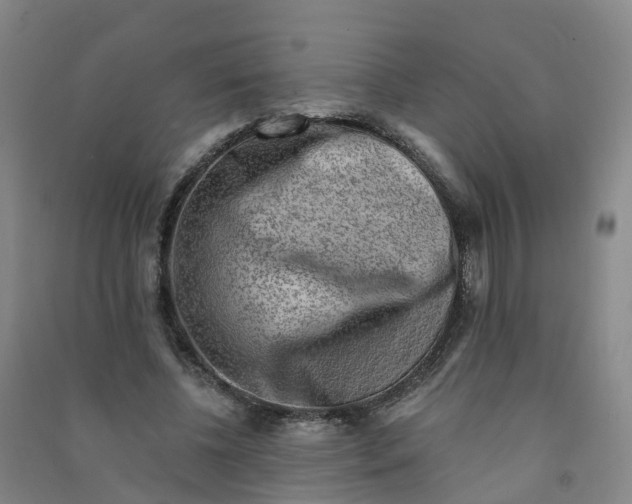 X0000090930540200708201830