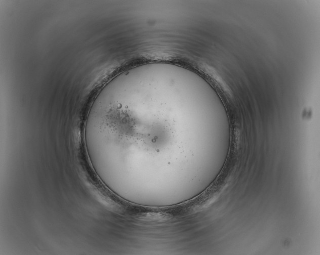 X0000090930541200708201830