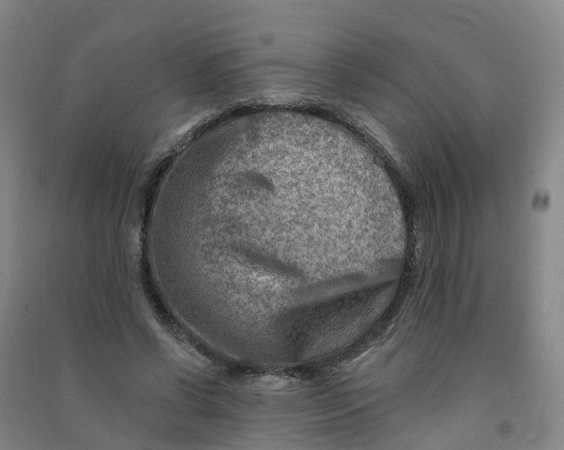 X0000090930542200708201830