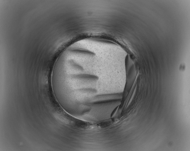 X0000090930543200708201830