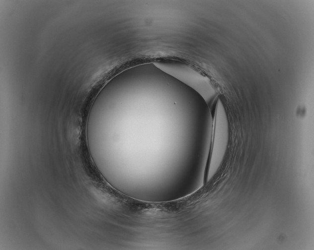 X0000090930544200708201830