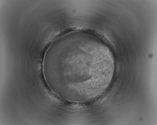 X0000090930545200708201830