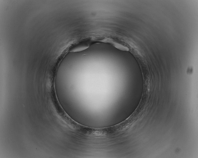 X0000090930546200708201830