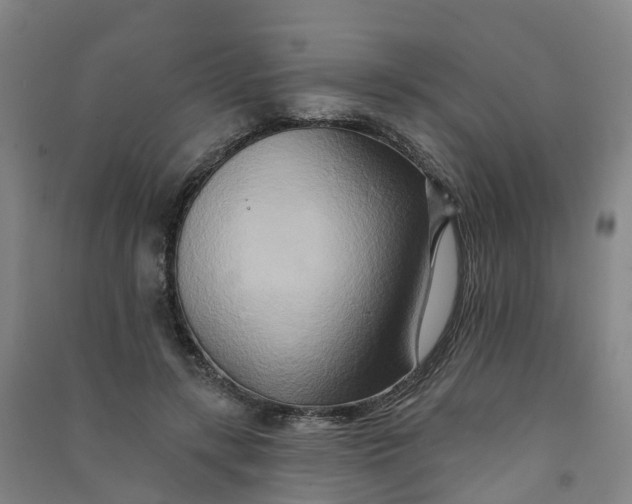 X0000090930547200708201830