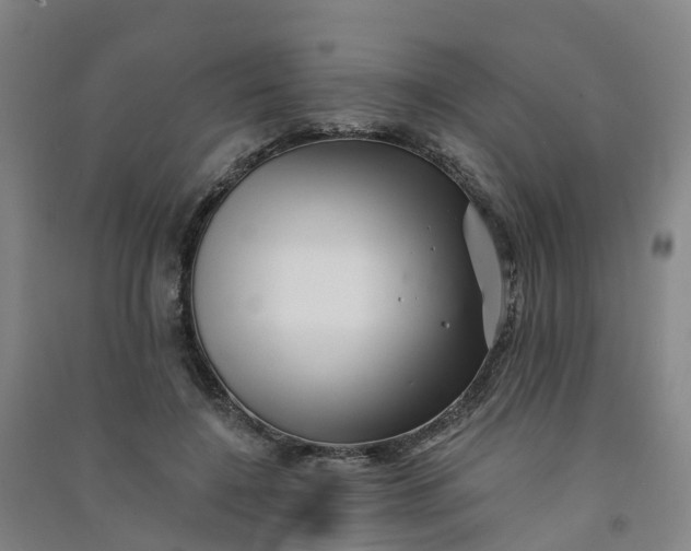 X0000090930548200708201830