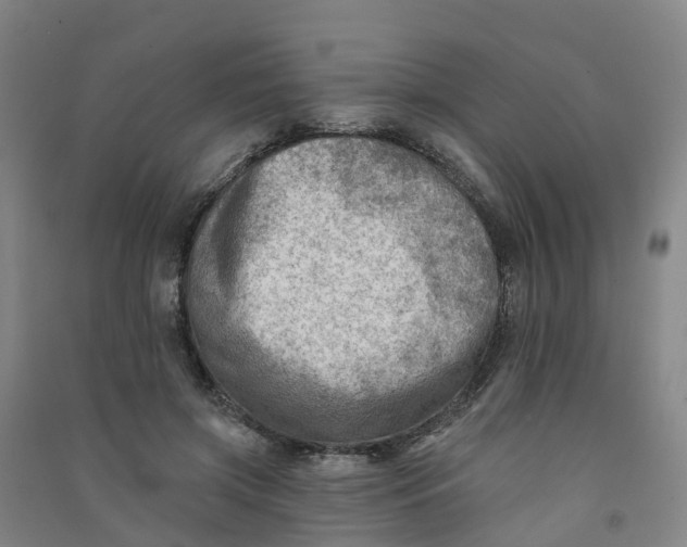 X0000090930549200708201830