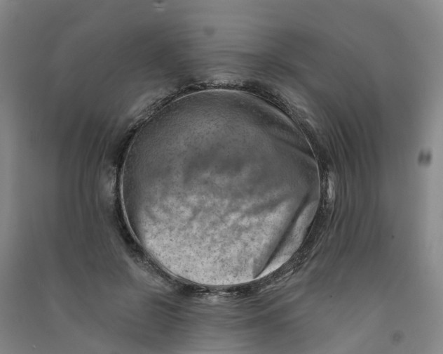 X0000090930550200708201830