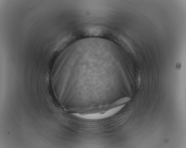 X0000090930551200708201830