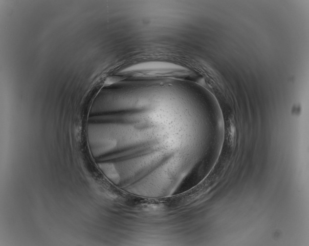 X0000090930552200708201830