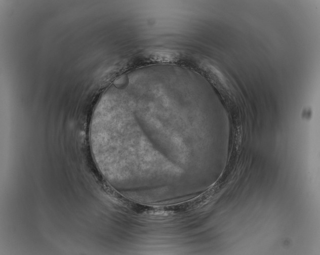 X0000090930553200708201830