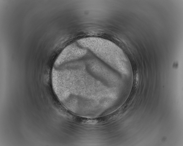 X0000090930554200708201830