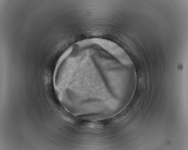 X0000090930555200708201830