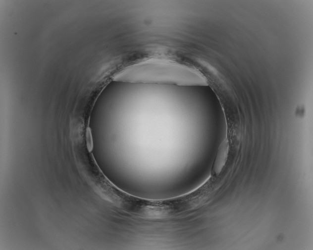 X0000090930556200708201830