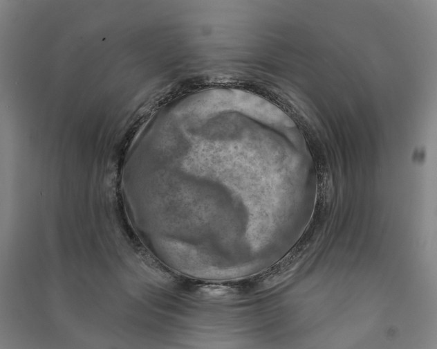 X0000090930557200708201830