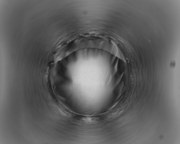 X0000090930558200708201830