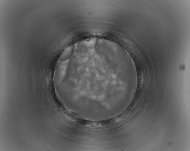 X0000090930559200708201830