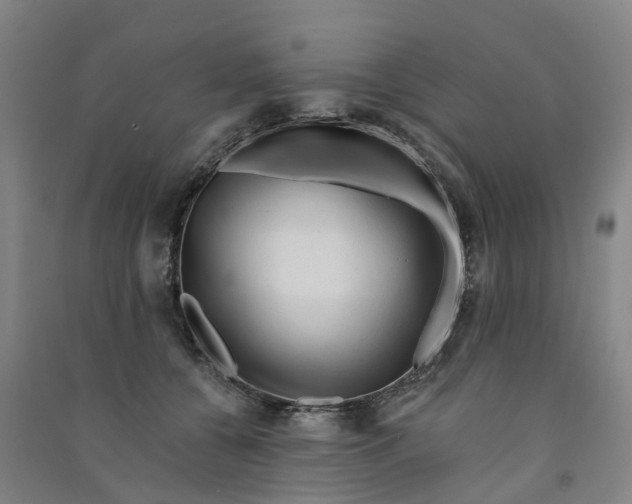 X0000090930560200708201830