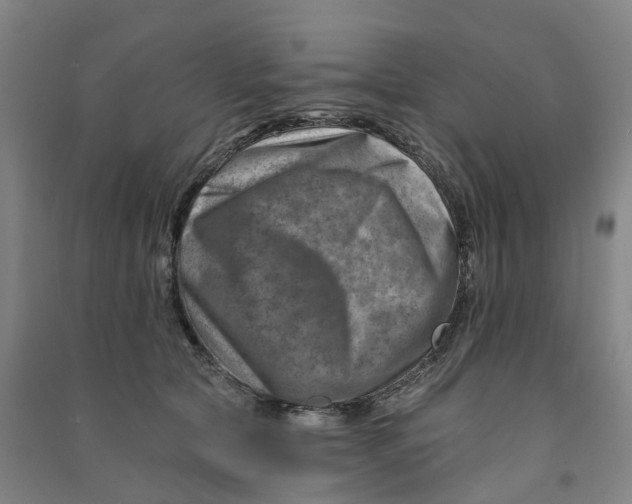 X0000090930561200708201830