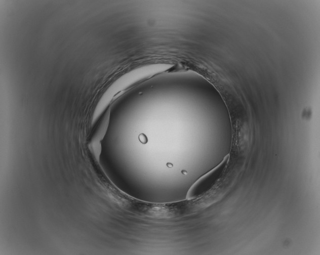 X0000090930562200708201831