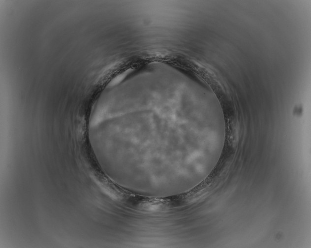 X0000090930563200708201831