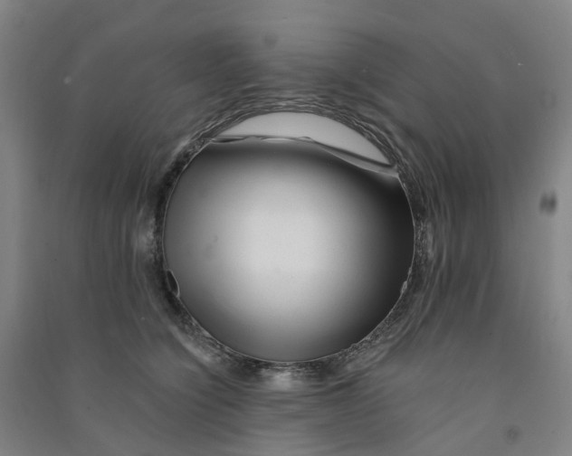 X0000090930564200708201831