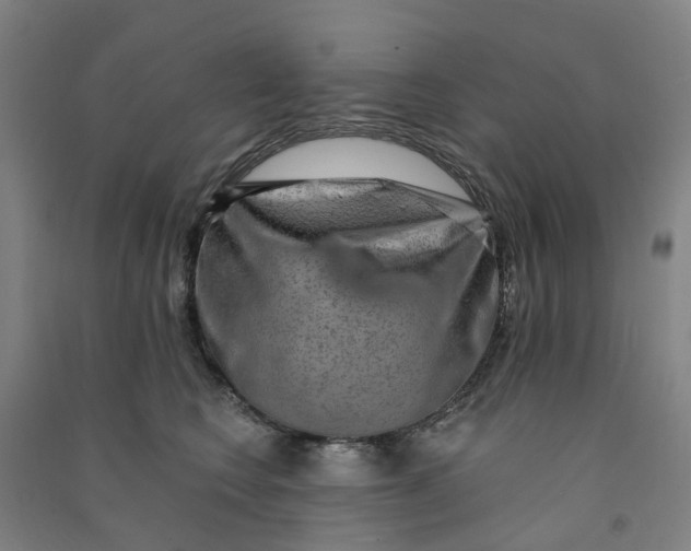 X0000090930566200708201831