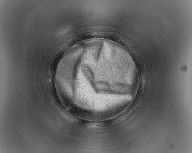 X0000090930567200708201831