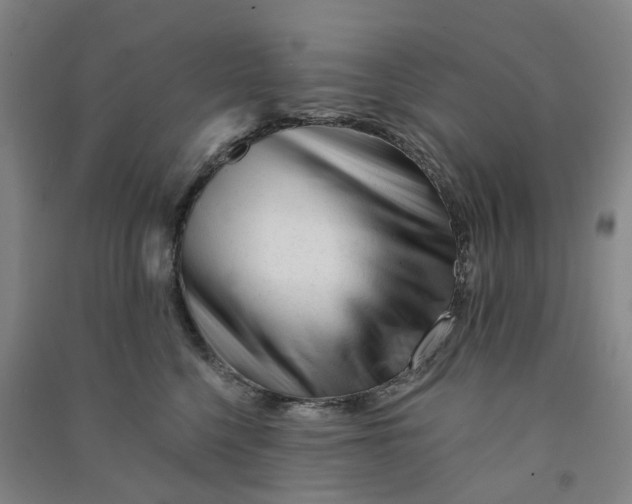 X0000090930568200708201831