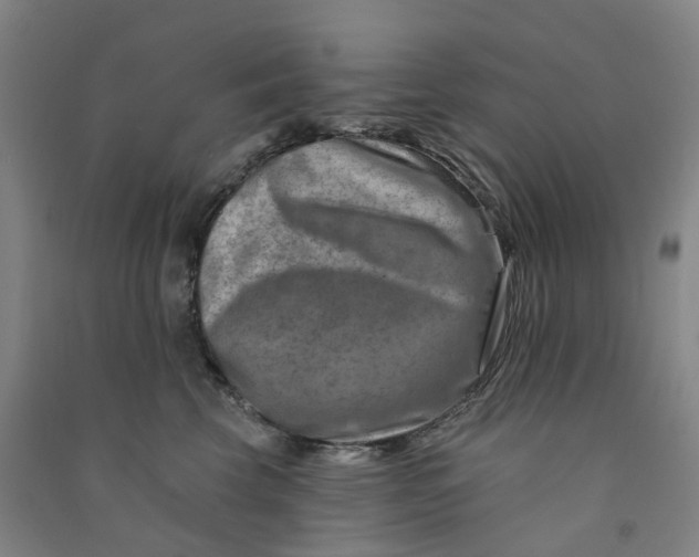 X0000090930569200708201831