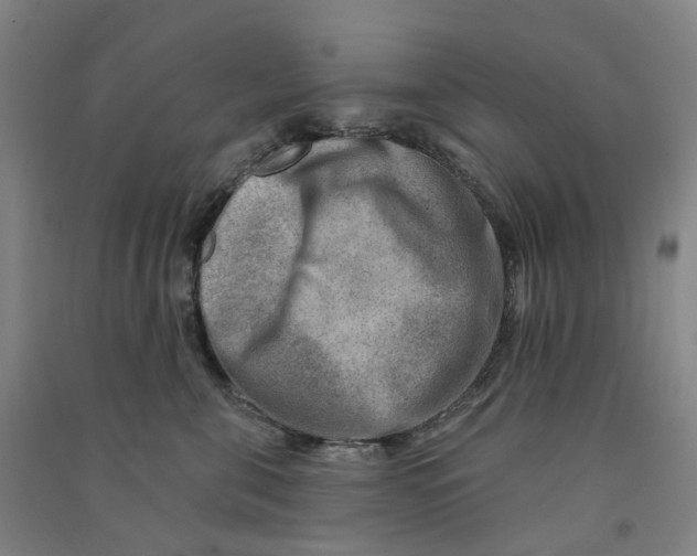 X0000090930571200708201831