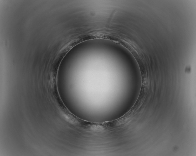 X0000090930572200708201831