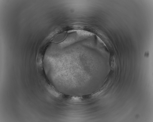 X0000090930573200708201831