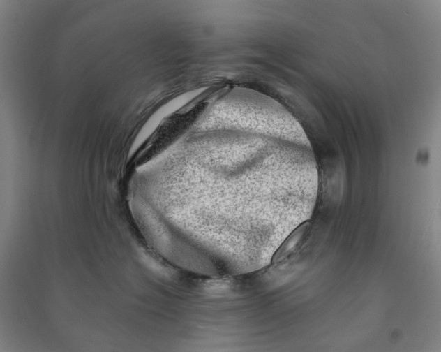 X0000090930574200708201831