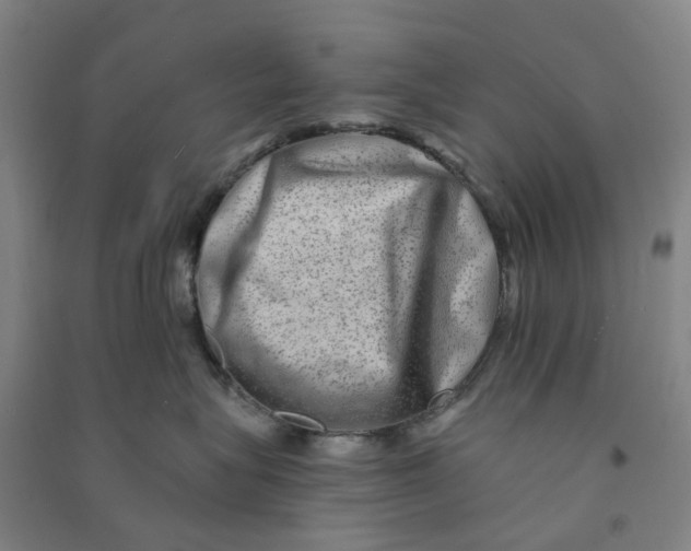 X0000090930575200708201831