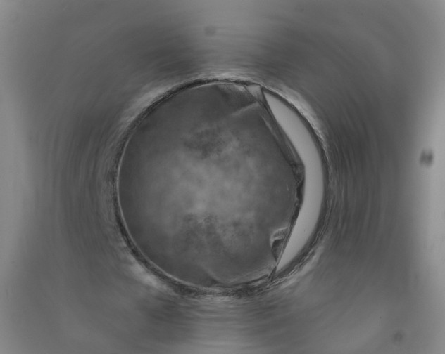 X0000090930577200708201830