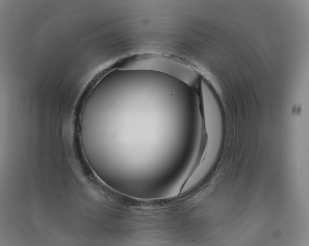 X0000090930580200708201830