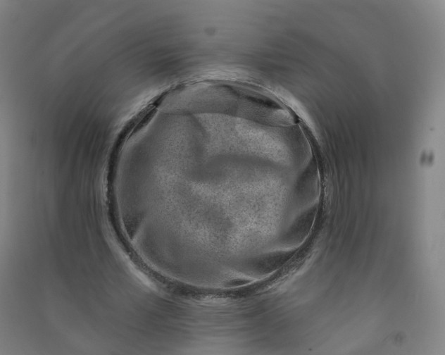 X0000090930581200708201830