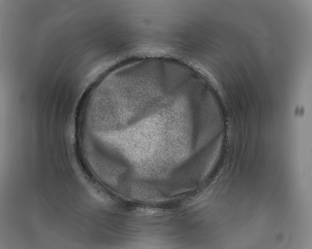 X0000090930582200708201830