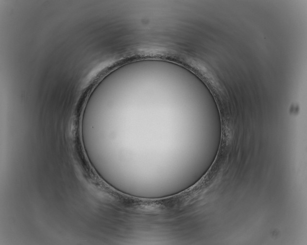 X0000090930583200708201830