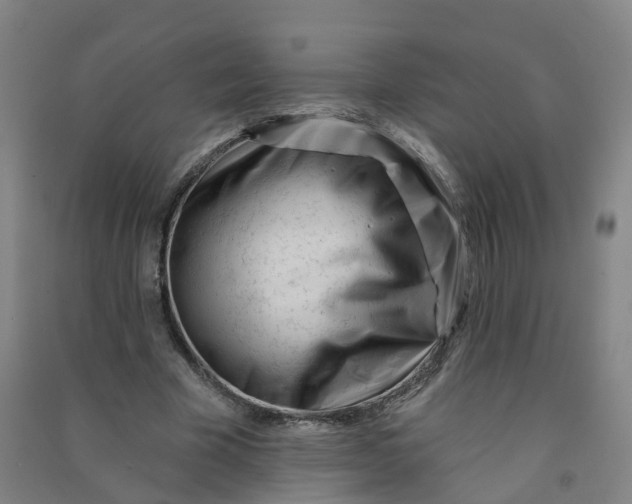 X0000090930585200708201830