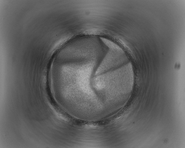 X0000090930586200708201830