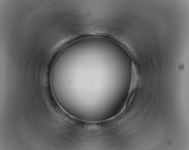 X0000090930587200708201830