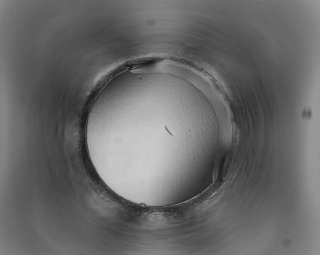 X0000090930588200708201830