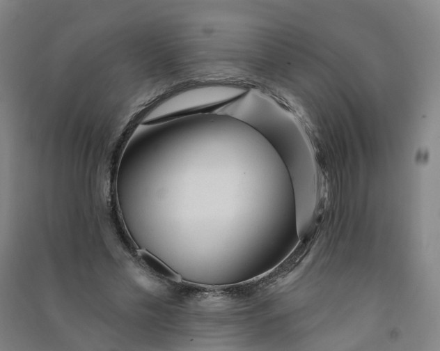 X0000090930589200708201830