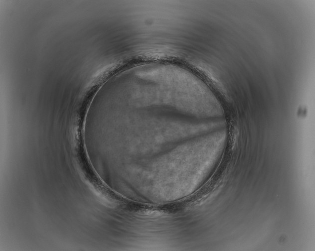 X0000090930590200708201830